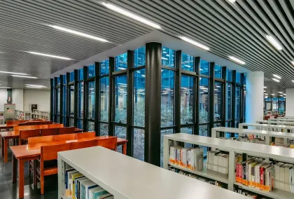 Kasino Lion Wins Mobilní aplikace